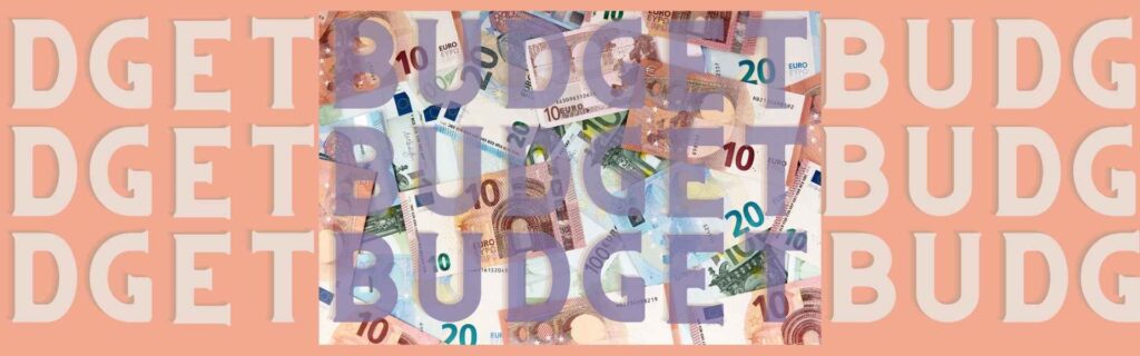 Budget & Organisation